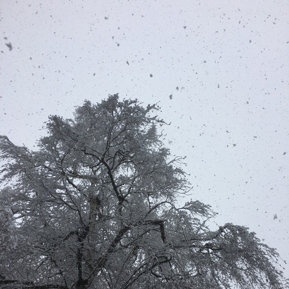 Meet your Posher, C - Picture 7 of 8